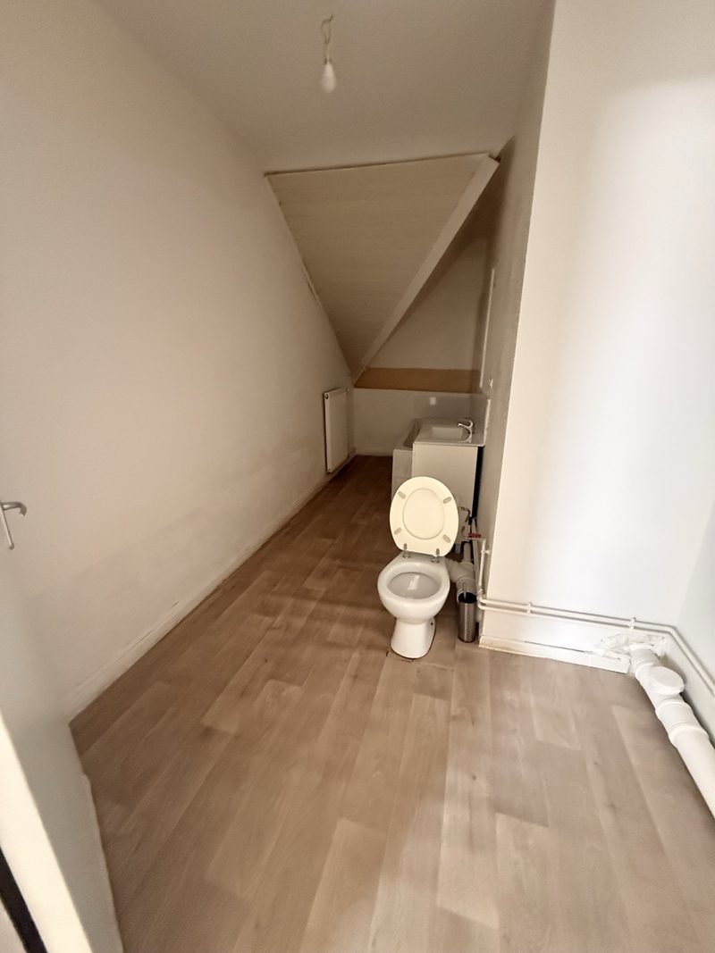 T3 de 70 m² sous les toits, grande pièce de vie et fenêtre de toit