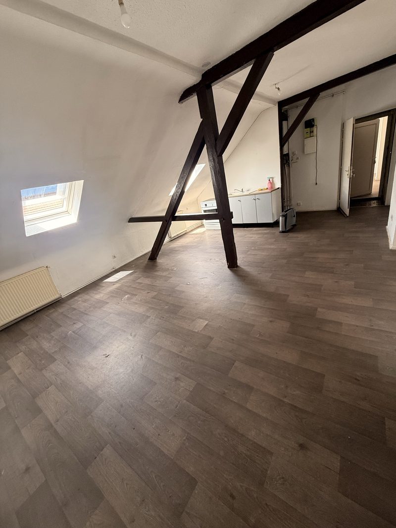 T3 de 70 m² sous les toits, grande pièce de vie et fenêtre de toit