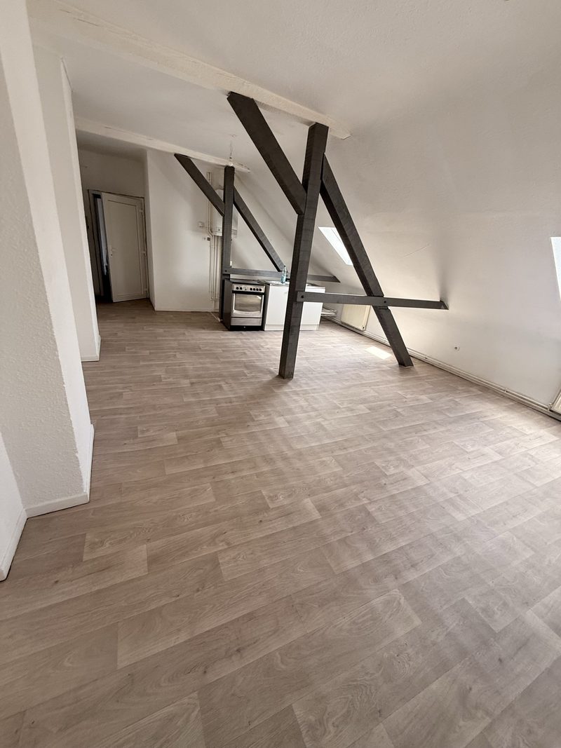 T3 de 70 m² sous les toits, baignoire et beaux volumes